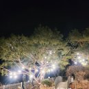 룰루랄라강하점 이미지