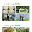 가브리엘농장 이미지