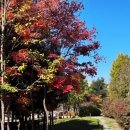 10용사로 이미지