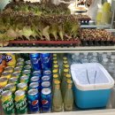 베리베리굿수 이미지