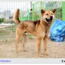 선산고을 이미지