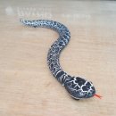 제네시스 당구장 이미지