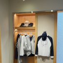 브리티시 클럽 | 헨리코튼 X 클로브 남자 골프 웨어 패션 브리티시 스포팅 클럽(BSC) 서울숲점 방문 후기