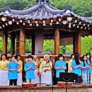 금소 스포츠경향