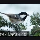 리앤아이산부인과의원 이미지