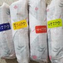 청운김밥 이미지