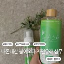 [내돈내산] 봄이오다 자연유래 약산성 샴푸 솔직후기