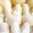 봄뜻 이미지