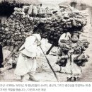 조선암웨이 | 암웨이는 오래되서 포화상태라구요?