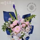 메종드호야 이미지