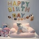 짱블리 짱금이 이미지