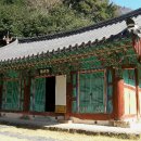 불회사 Daum카페