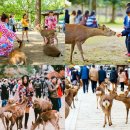 여행 일본어(특별) 이미지