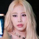제이미드나이트