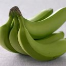 “덜 익은 바나나 먹어라?”… 체지방 빼주는 뜻밖의 음식 5 이미지