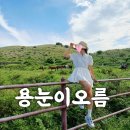 6월 제주도 용눈이오름 등반 후기 소요시간·난이도·주차·방문꿀팁 총정리