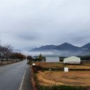 순둥이한끼 이미지