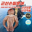 문어야 이미지