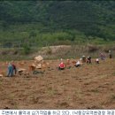 낙동강변22 이미지