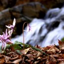 백두여인숙 이미지