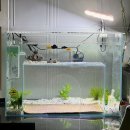 숨숨집 | [내돈내산] 냥플릭스 어항 숨숨집 후기!