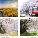 서울의 아름다운 봄 꽃길 166선」​을 소개했다. 이미지