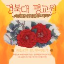 비단 공필화 이미지