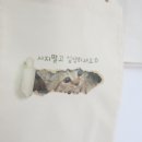 꼬마당근 네이버블로그