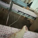 성진내과의원 이미지