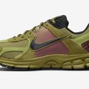 black pear 이미지