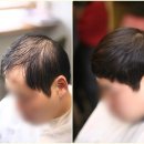본연애헤어 이미지