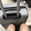 윌로우영어학원 | 2025 7월 week 27 반이 지났다