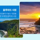 파라다이스 티스토리