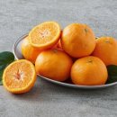 제주온인 이미지