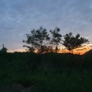 방산농장 이미지