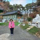 학곡농장 Daum카페