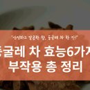 둥굴레차 먹으면 좋은점 안좋은점 카페인 이미지