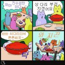 성포본척척365의원 | 전방십자인대+내측반월상연골판 바사삭(1️⃣수술할 병원 찾기)