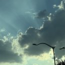 OZ CAR | 마라에 취하는 충칭 여행기_Day1(인천공항 푸드코트/아시아나 OZ353 탑승후기/충칭공항에서 시내까지)