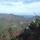 백두대간약초나라 이미지