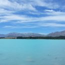 한국돈농장 이미지