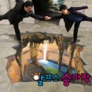 수목원테마파크 이미지