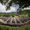 담양주유소 이미지