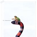 은 세상 이미지