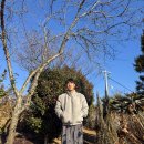 남해-256 | 바다와 섬을 한눈에 담는 자리 남해 카페더힐스 오션뷰 카페