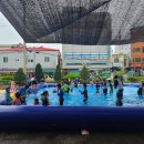 단양초등학교 이미지