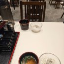 코끼리샐러드