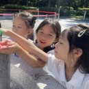 맑은물유치원 이미지