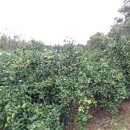 상예2동 복지회관 이미지