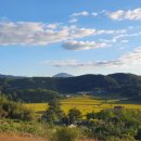 살구나무펜션민박 이미지